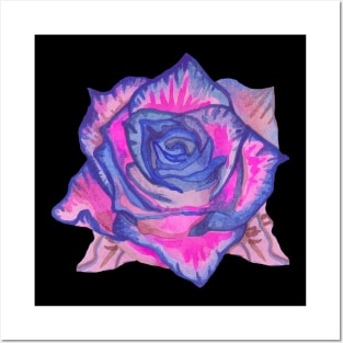 Pink rose flower Posters and Art